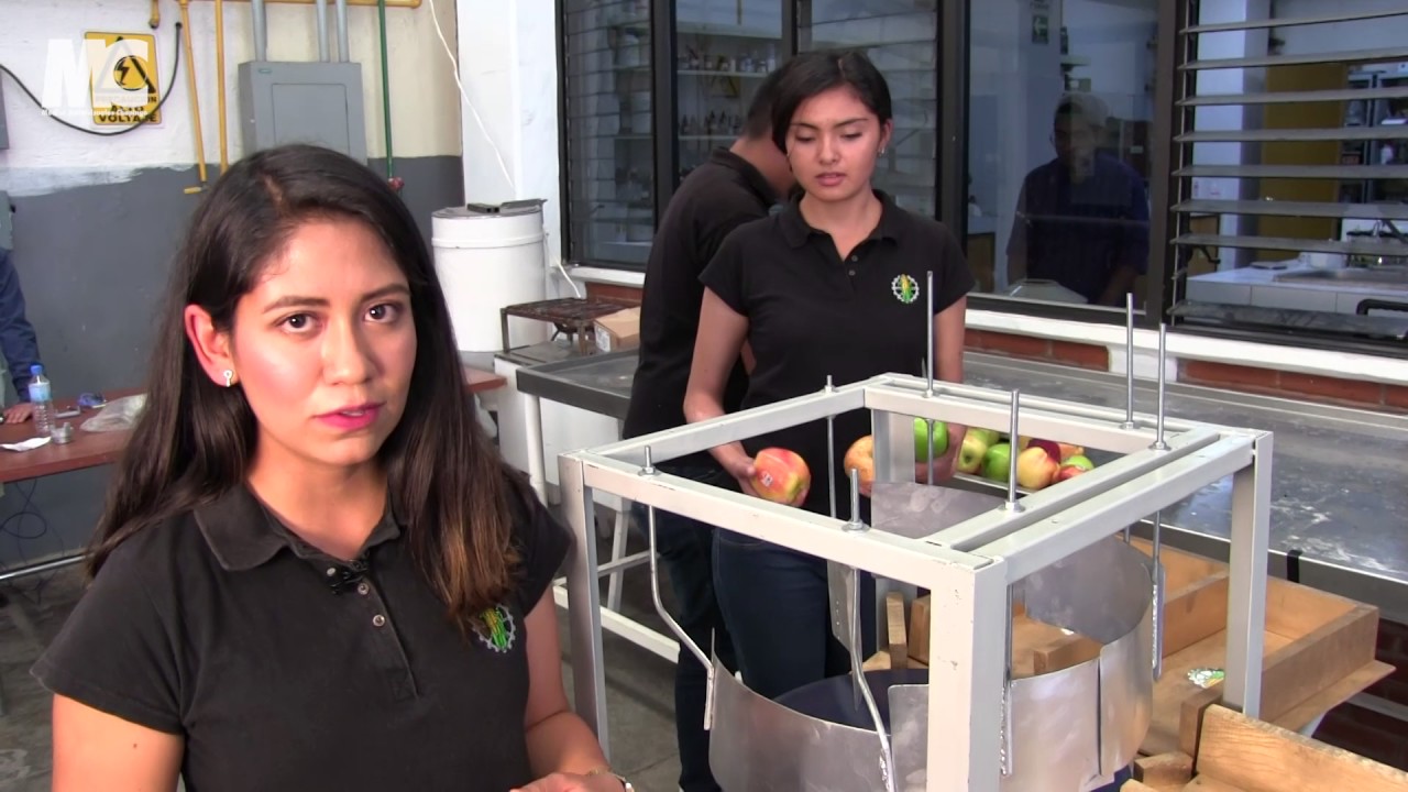 Clasificadora de frutas