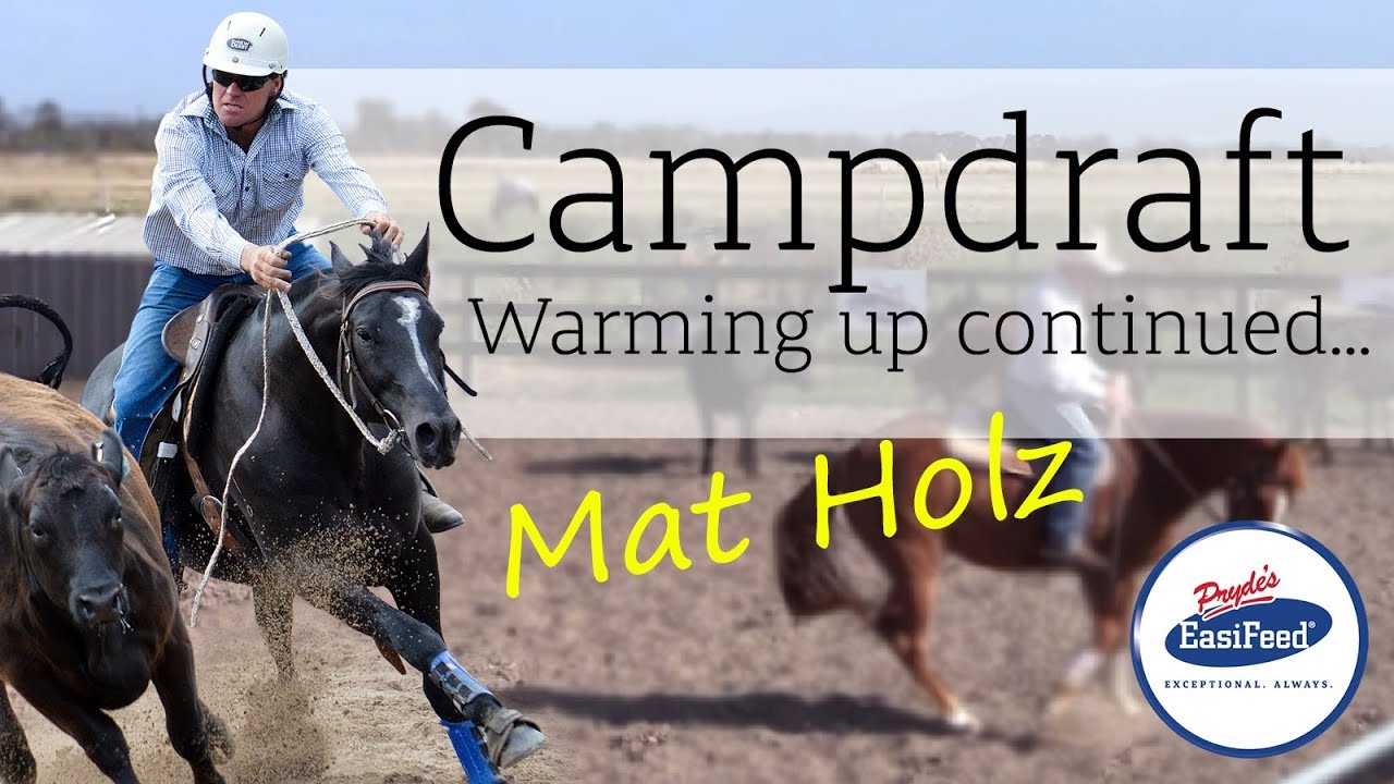 Building on campdraft basics - how to warm-up your campdraft horse