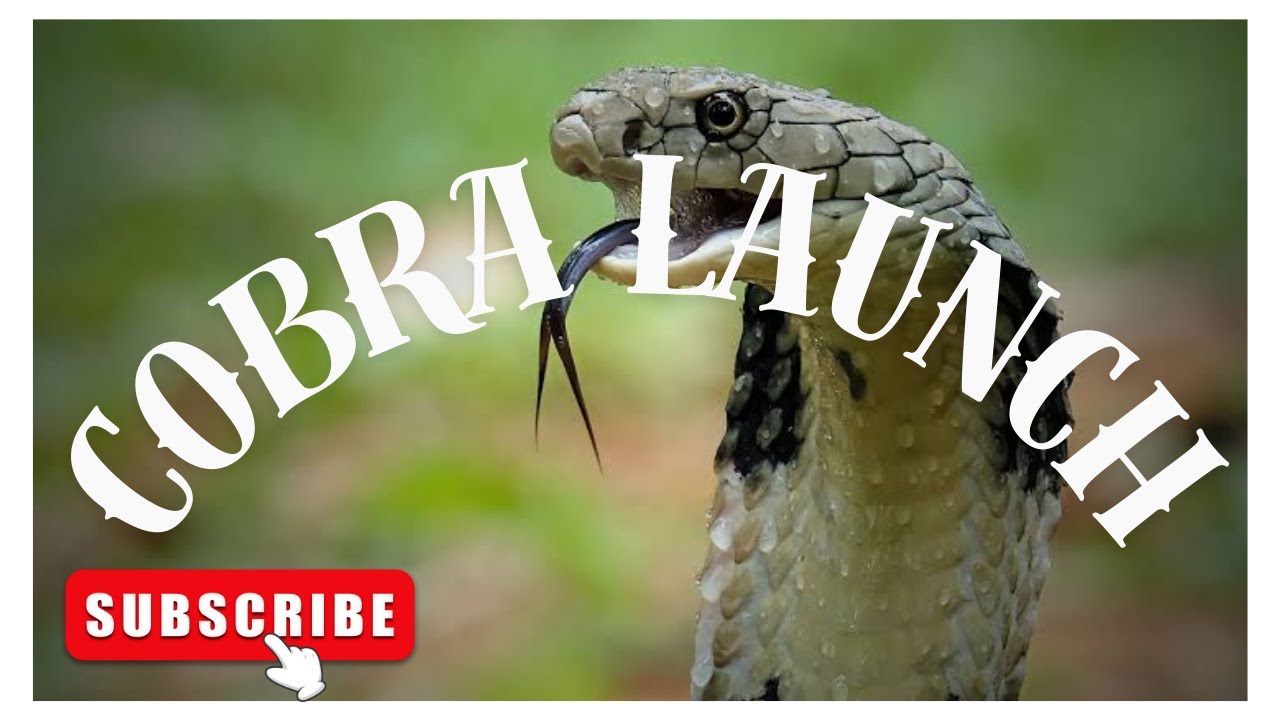 Парапланеризм — Cobra запускает 3-й эпизод #shorts