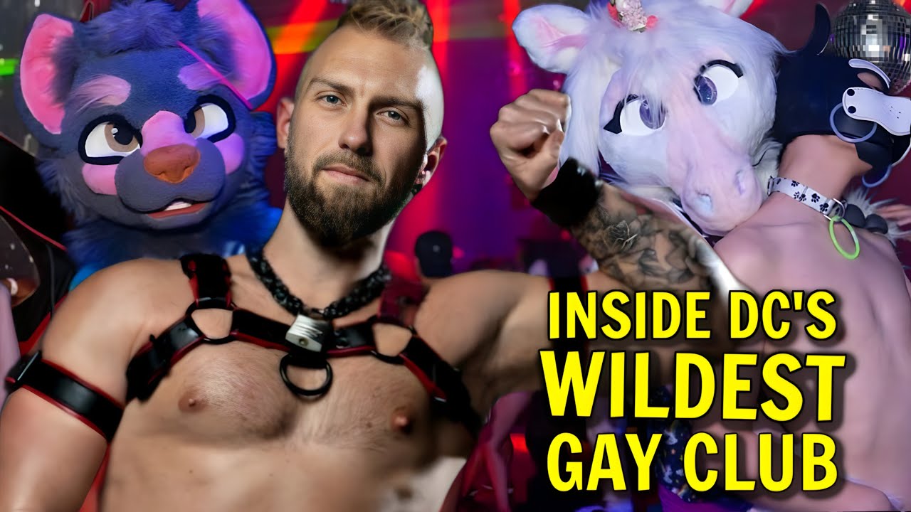 GAY STRIPPER: 