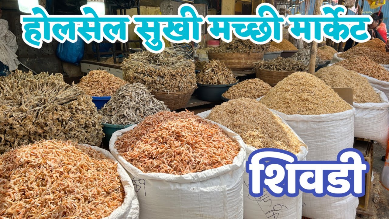 पावसाळ्यासाठी सर्वात स्वस्त शिवडी होलसेल सुखी मच्छी मार्केट | Mumbai Dry Fish Market