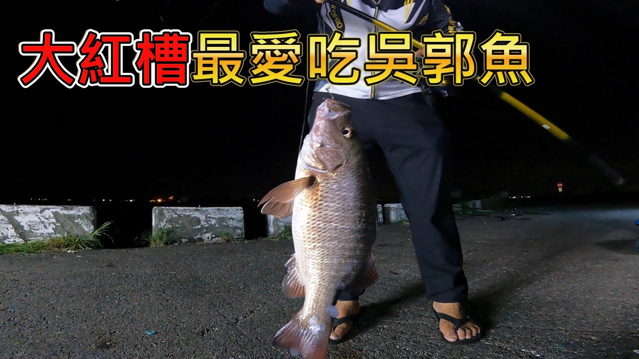 東石白水湖夜釣，釣法釣組對，來的都是粗的