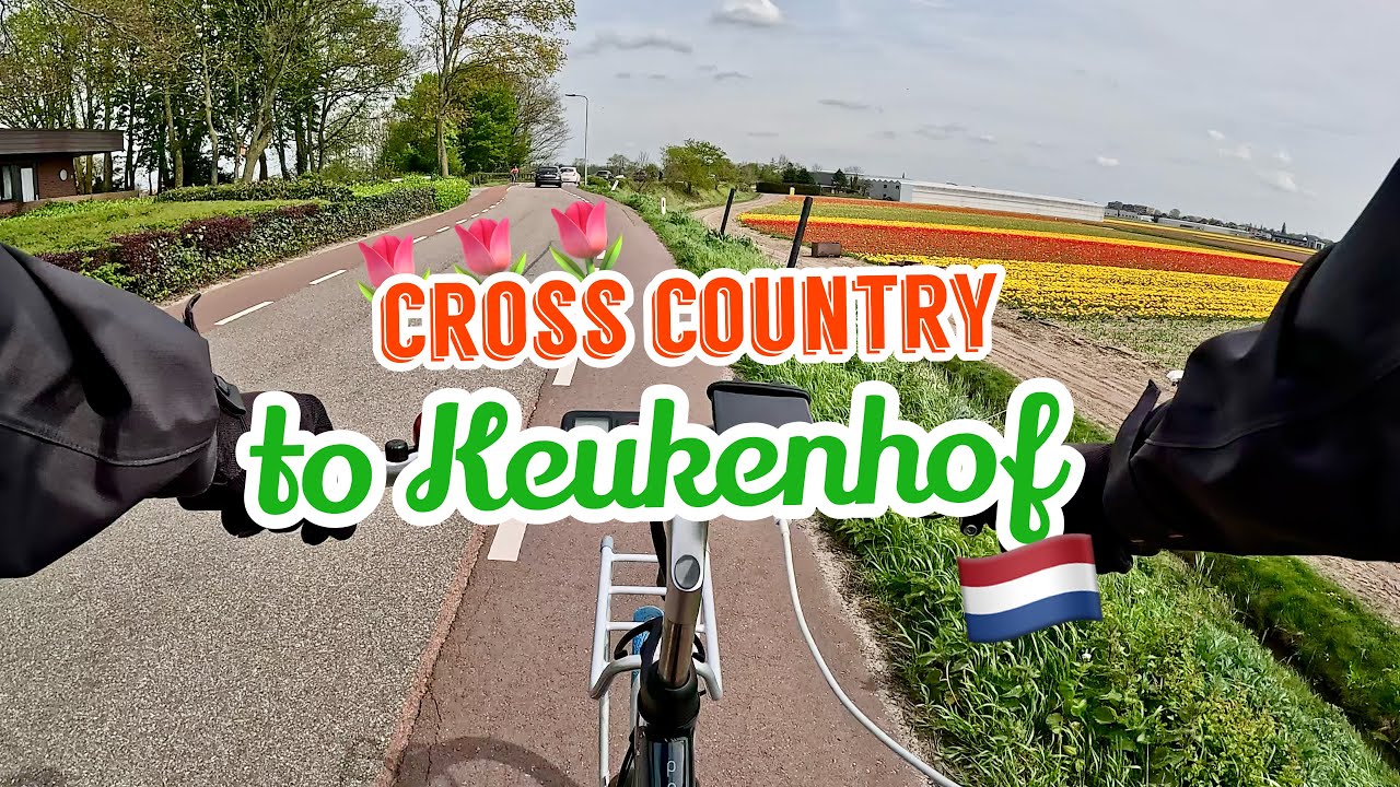 Cross-country CYCLING from The Hague to see KEUKENHOF tulips on sunny day in The Netherlands