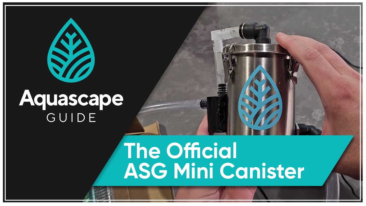 AquascapeGuide &mdash; официальный мини-фильтр ASG для нано-аквариумов