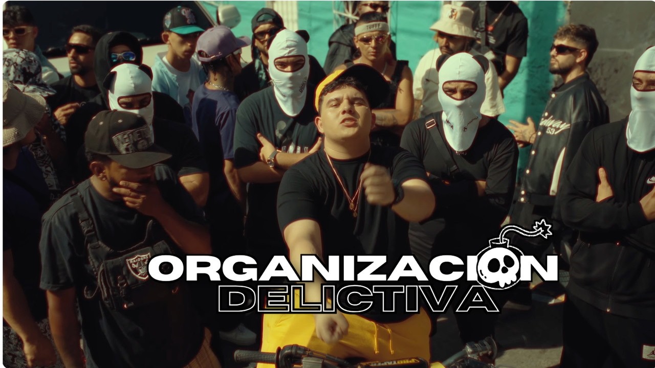Organización Delictiva - Ft Young Fatty, Santana Maria, Mat , Mirla -  (Video Oficial)
