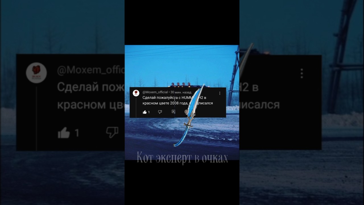 Edit | Кот эксперт в очках  #edit #р_е_к_о_м_е_н_д_а_ц_и_и  @Moxem_official