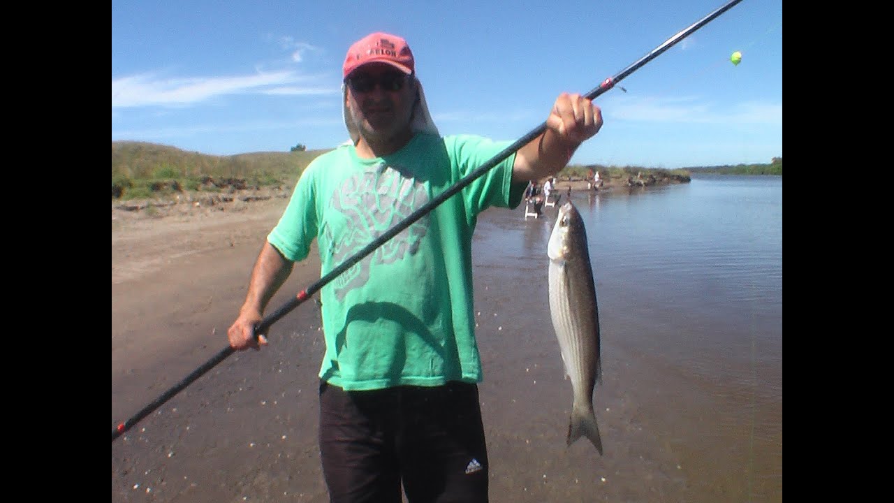 PASION POR LA PESCA -PESCA DE LISAS