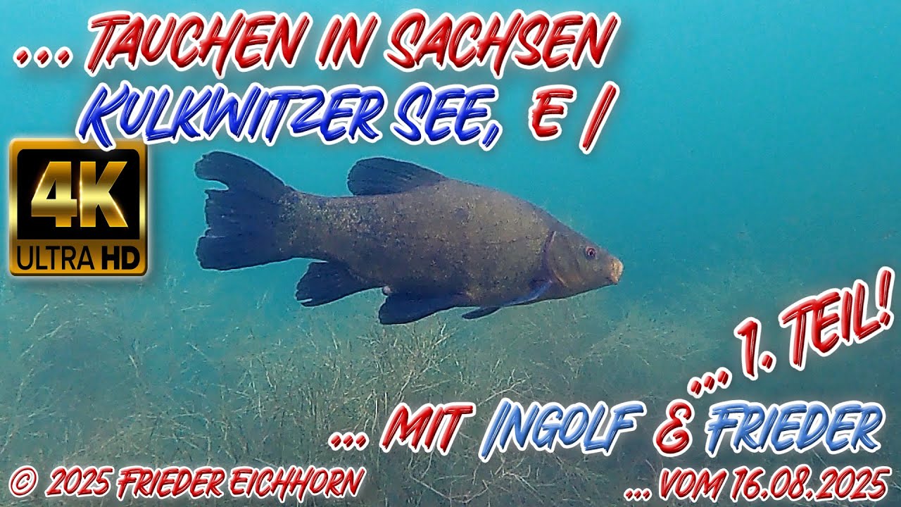 Tauchen in Sachsen, 🐬 Kulkwitzer See, E I 🦞 16. August 2025, 1. Teil!