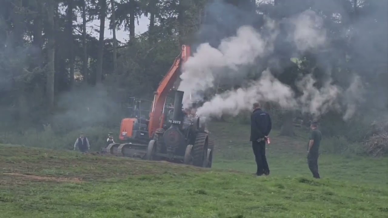 2025 moynalty steam festival 