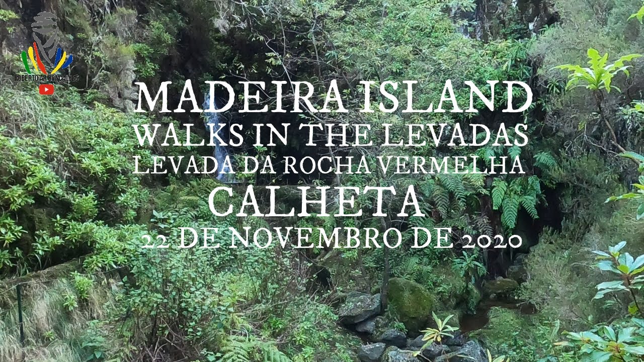 Levada da Rocha Vermelha, Calheta, MADEIRA ISLAND, Walks in the Levadas,  22 de novembro de 2020.