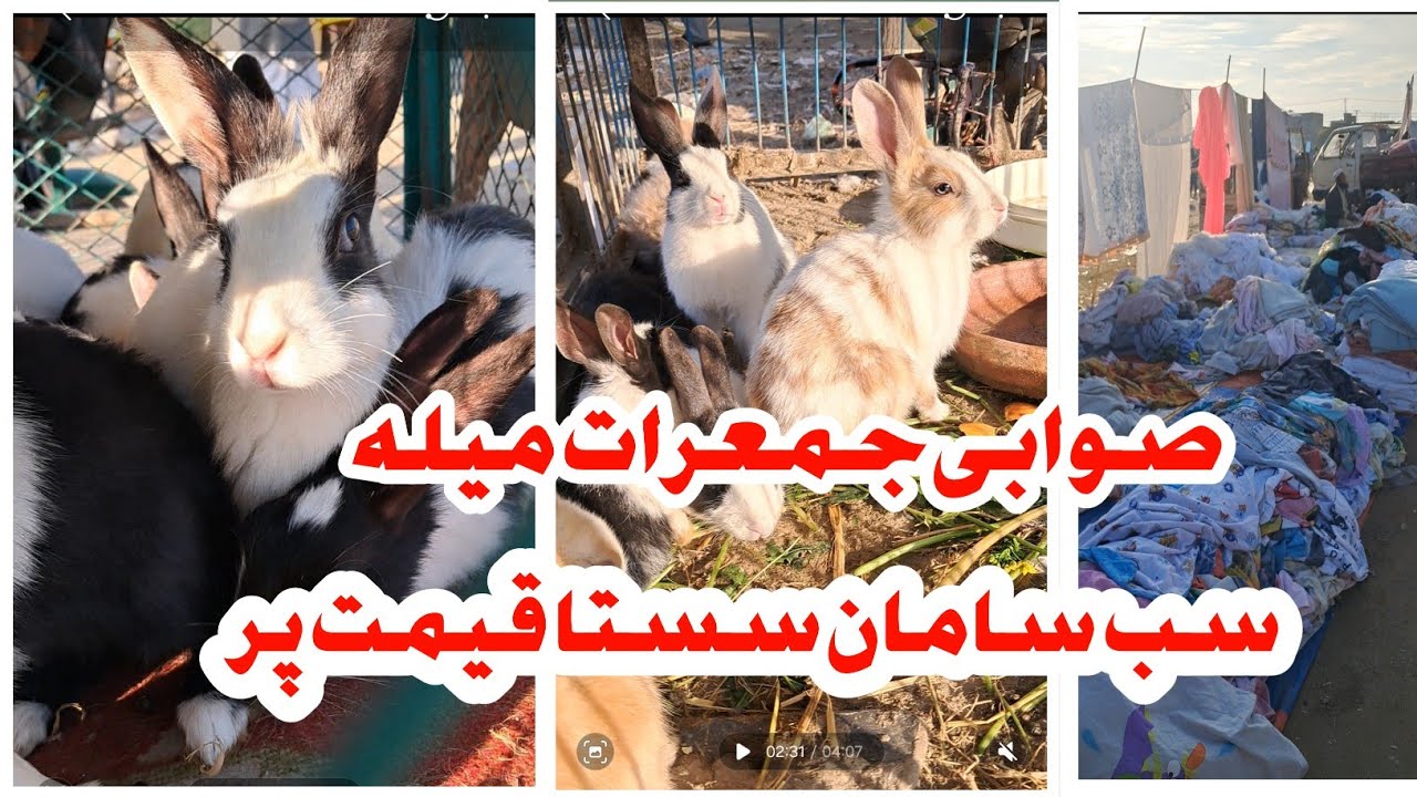 Swabi Cheap Market Jummaraat ki Mella 