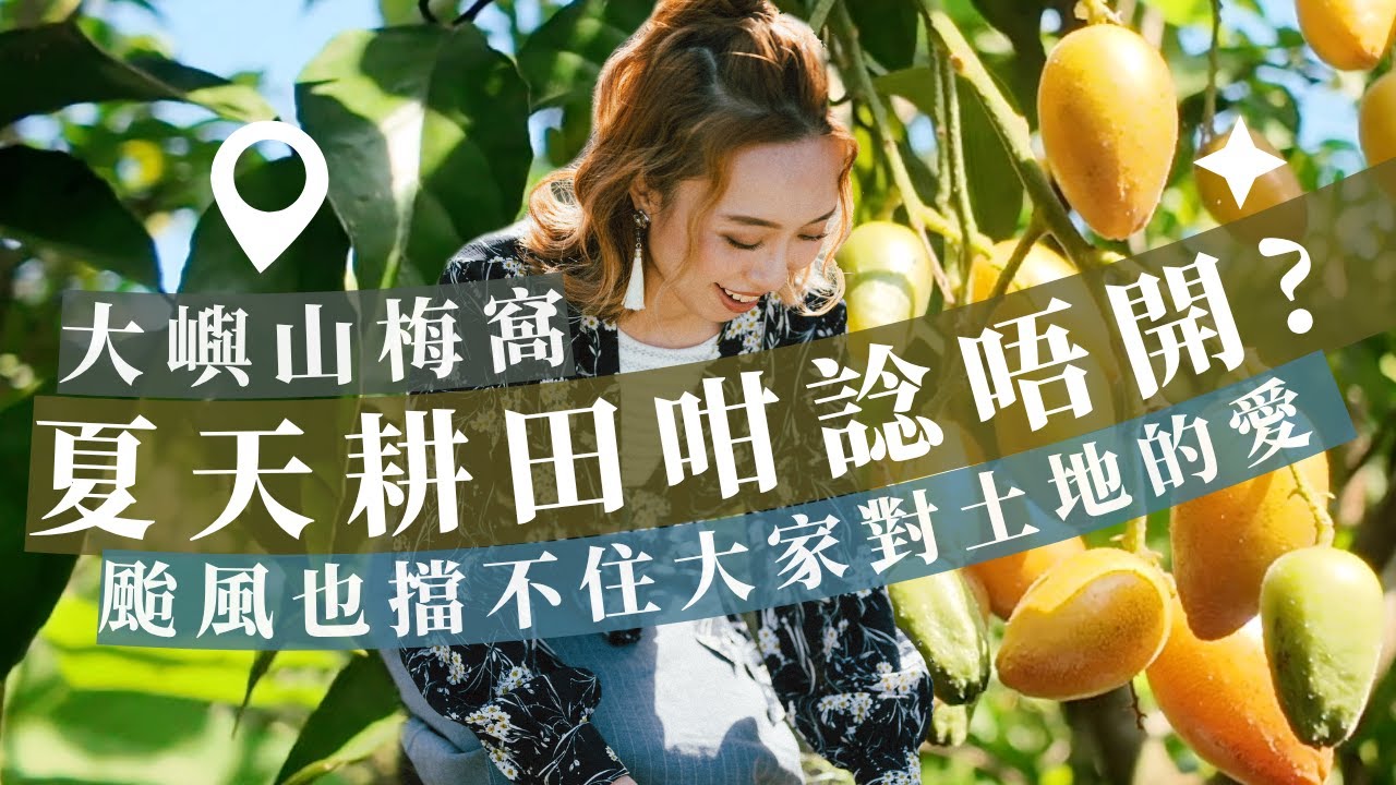 香港夏天耕田咁諗唔開？就算颱風高溫也擋不住梅窩人對土地的愛！一齊收黃皮、食街坊自發冬瓜宴！