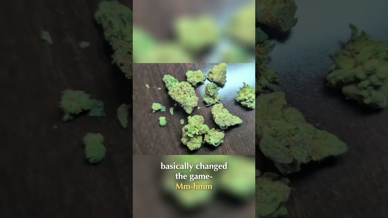Orange Cookies: The Ultimate Strain Breakdown & Review #shorts
