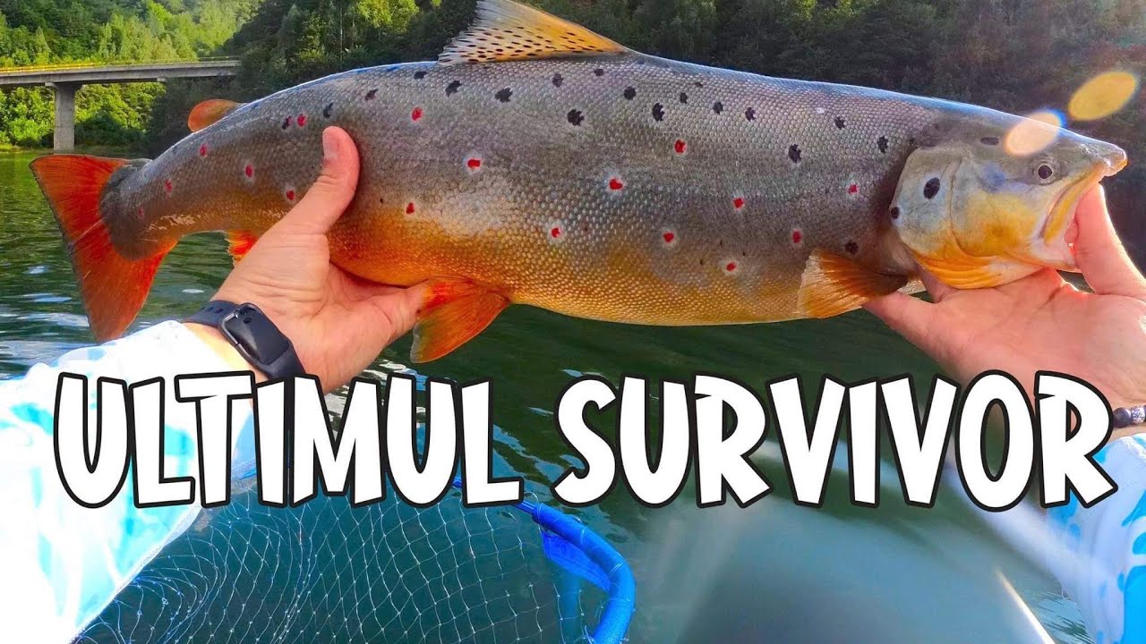 Am prins si ultimul pastrav SURVIVOR de pe lacul de munte