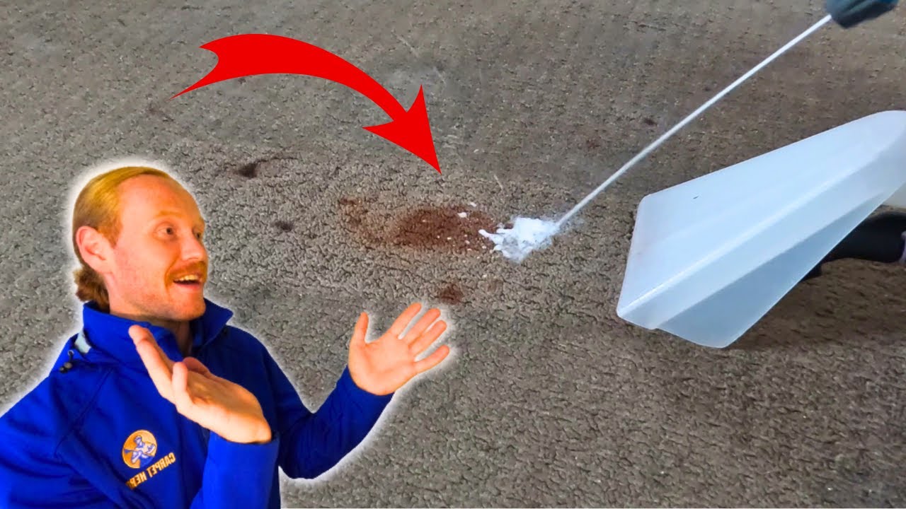 SATISFYING CARPET CLEANING! | How To Remove Make-Up Stains | #steamcleaning #asmr #carpetcleaning