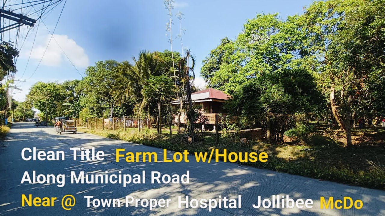 #Vlog420 CLEAN TITLE FARM LOT w/HOUSE FOR SALE | Near Municipality | Hospital Jollibee & McDo 