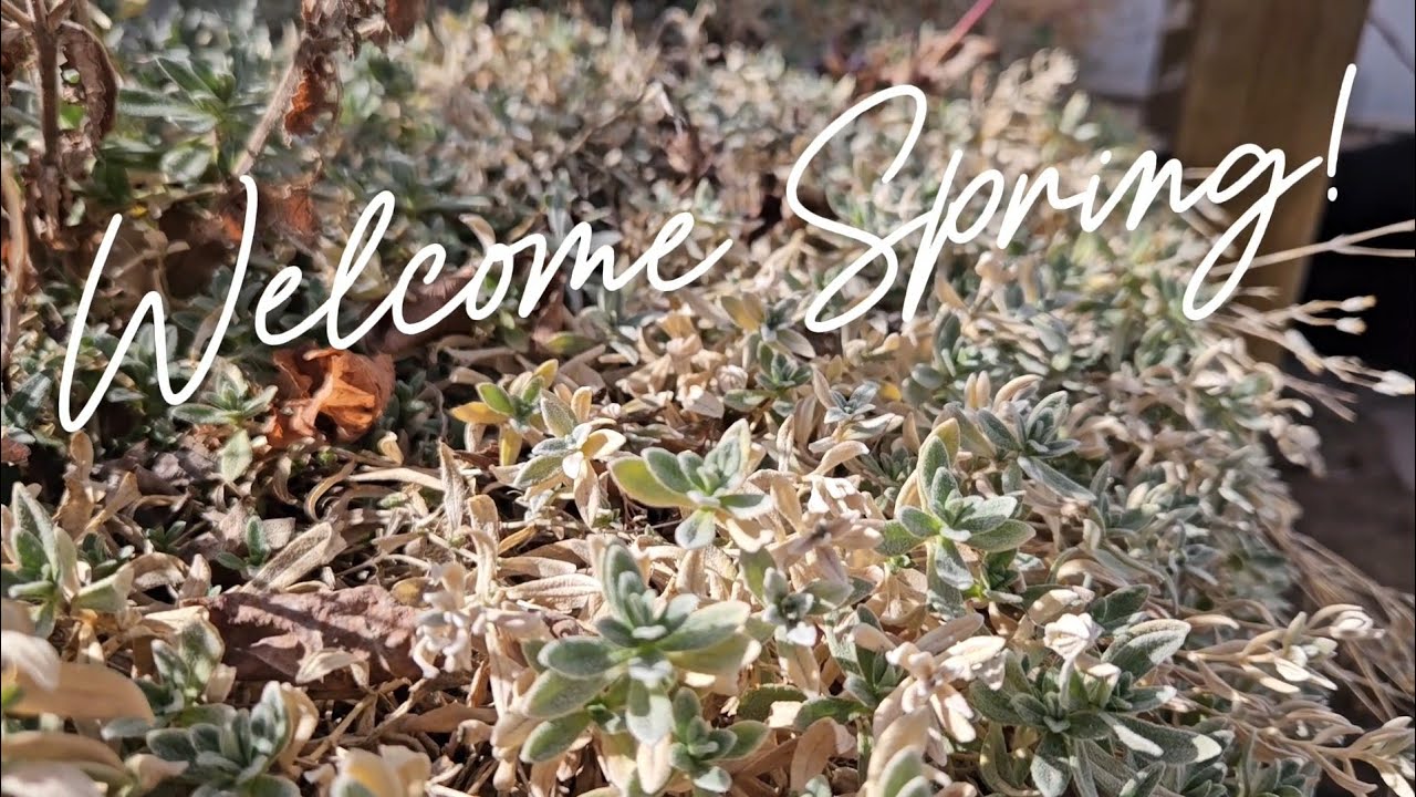 Welcome Spring!