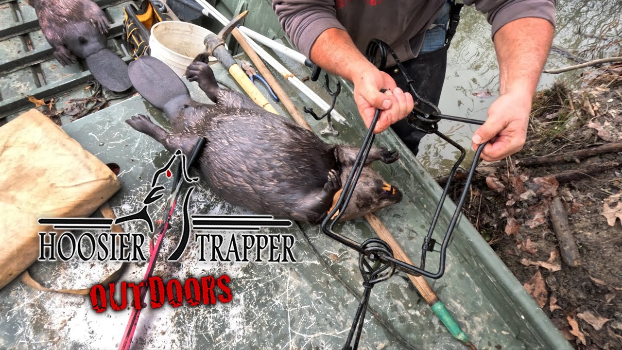 Hoosier Trapper Outdoors - Сезон 14, эпизод 14 - Охота на бандитов и Баки