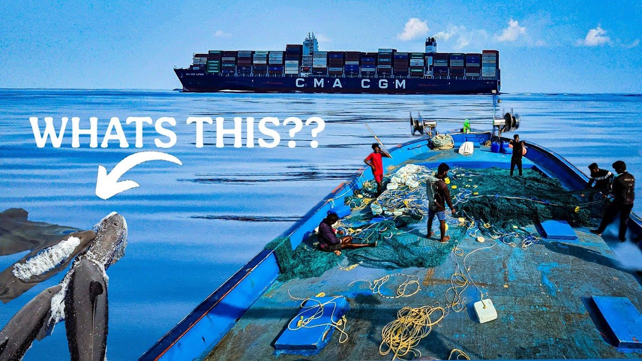 32 Days at SEA! What's REALLY Happening on Our Deep-Sea Fishing Expedition