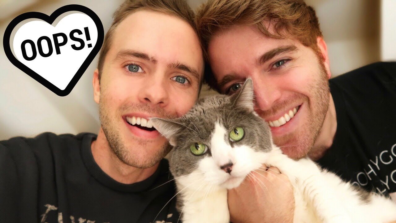 WE GOT ANOTHER CAT!