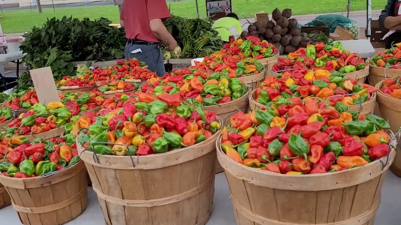 Farmer's Market 8/27/22 in Minnesota #farmermarket