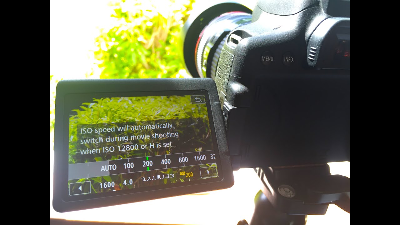 Canon T6i Sample Pictures & ISO Performance