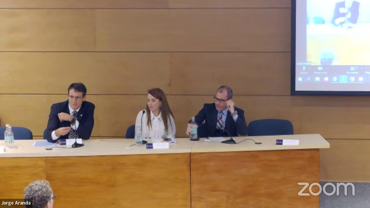 Encuentro Internacional para la Protecci&oacute;n Judicial de Derechos en Am&eacute;rica Latina - Jornada 3