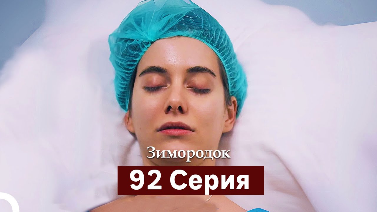 Зимородок 92 Cерия (Русский дубляж)