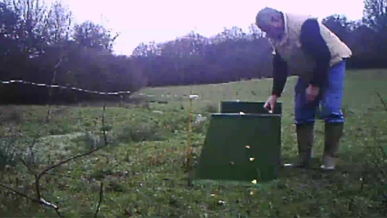 Piege à ragondins - Franck Royer