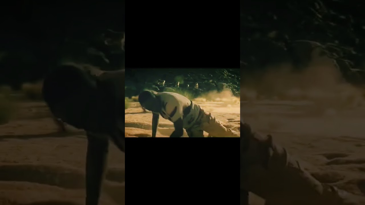 Beast | idris vs lion | man vs lion   
