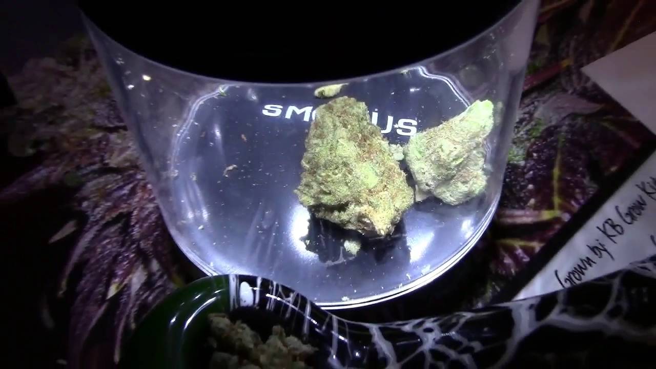Smokus Focus