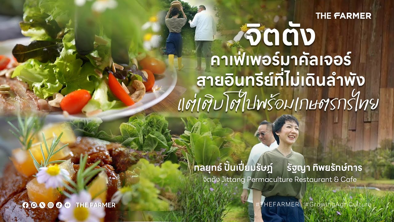 จิตตัง คาเฟ่เพอร์มาคัลเจอร์สายอินทรีย์ที่ไม่เดินลำพัง แต่เติบโตไปพร้อมเกษตรกรไทย l THE FARMER