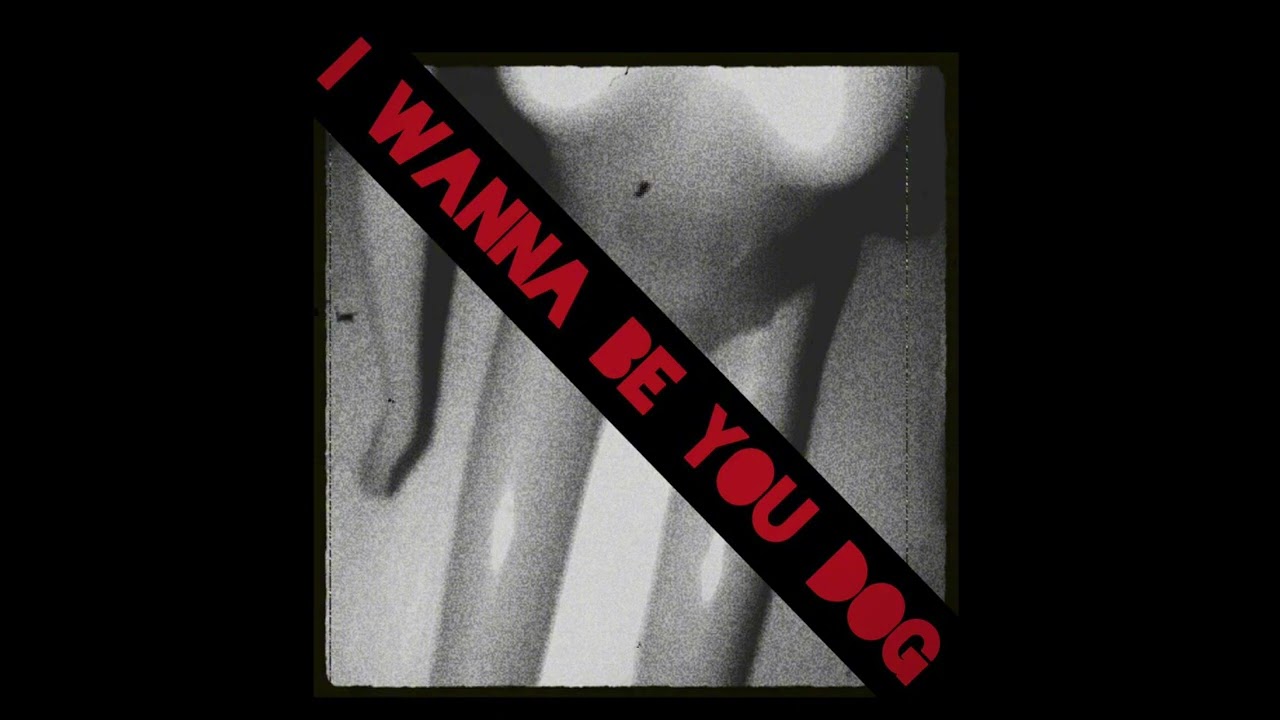 Dracula Mor Nastya - I WANNA BE YOUR DOG (cover on the Stooges and Iggy Pop)
