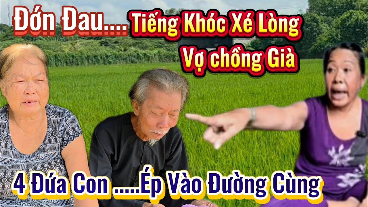 Đớn Đau. Tiếng Khóc Xé Lòng Của Vợ Chồng Già Bị 4 Đứa Con Ép Vào Đường Cùng