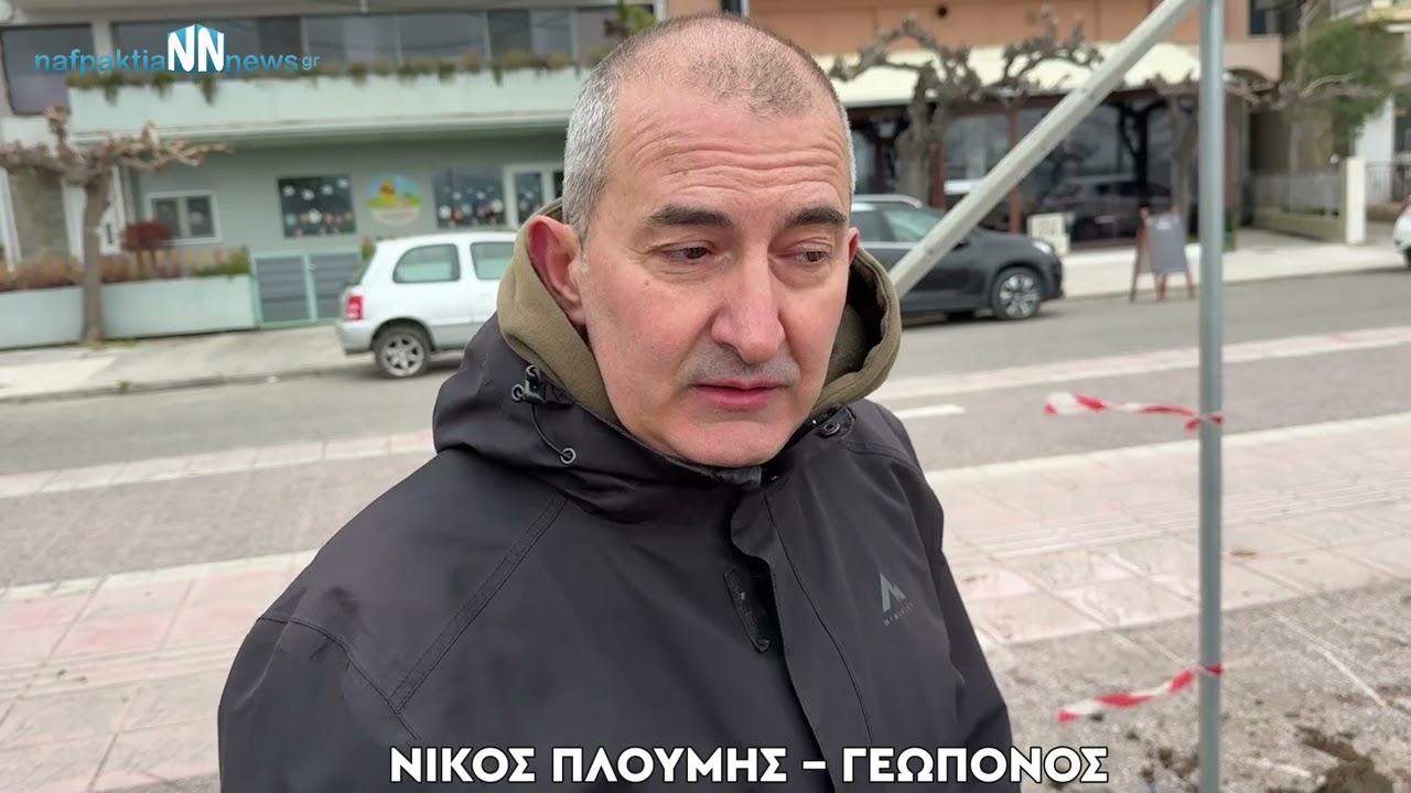 Νέες φυτεύσεις στη Ναύπακτο – Παρέμβαση του Δήμου για την αποκατάσταση των πλατανιών