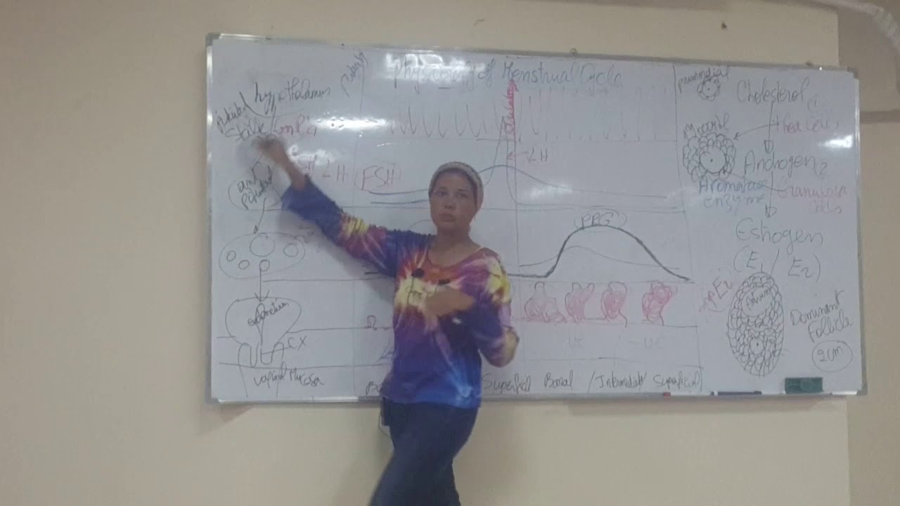 1) Physiology of Menstrual Cycle 3/10/2019