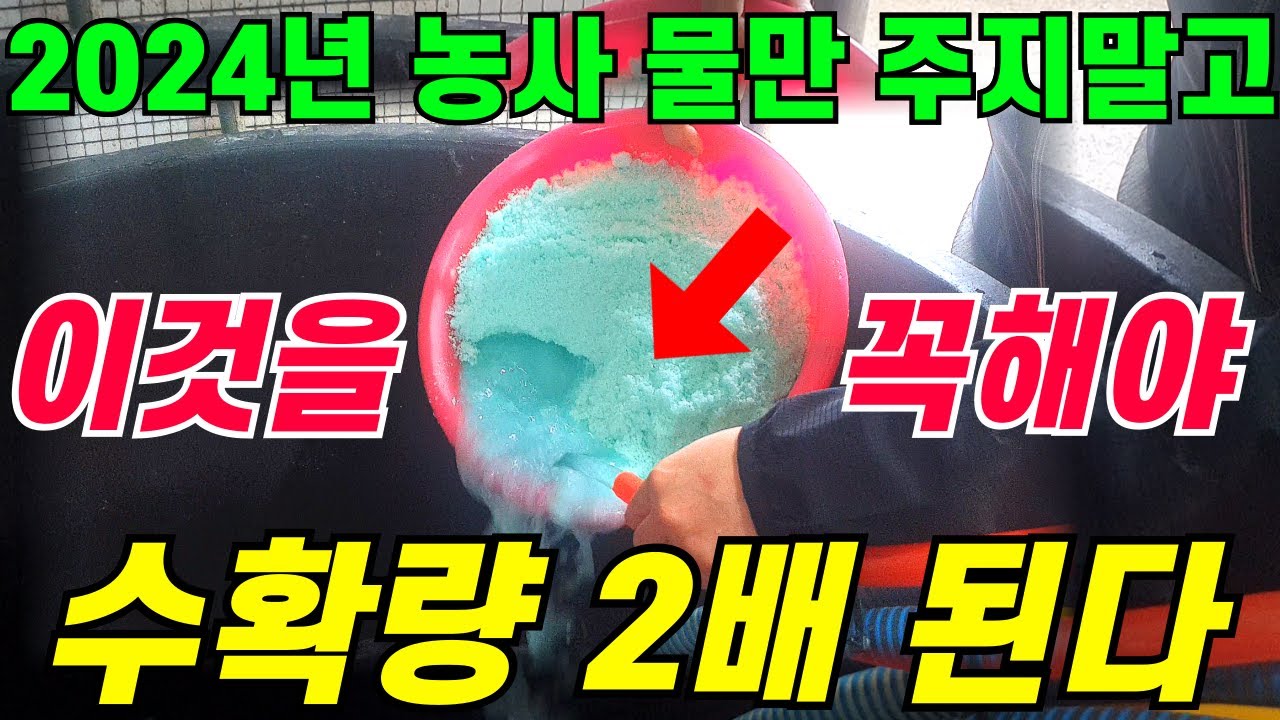 양액관주용 복합비료 미량요소 풍부한 '이것' 하면 1초만에 녹고 덩어리가 없습니다