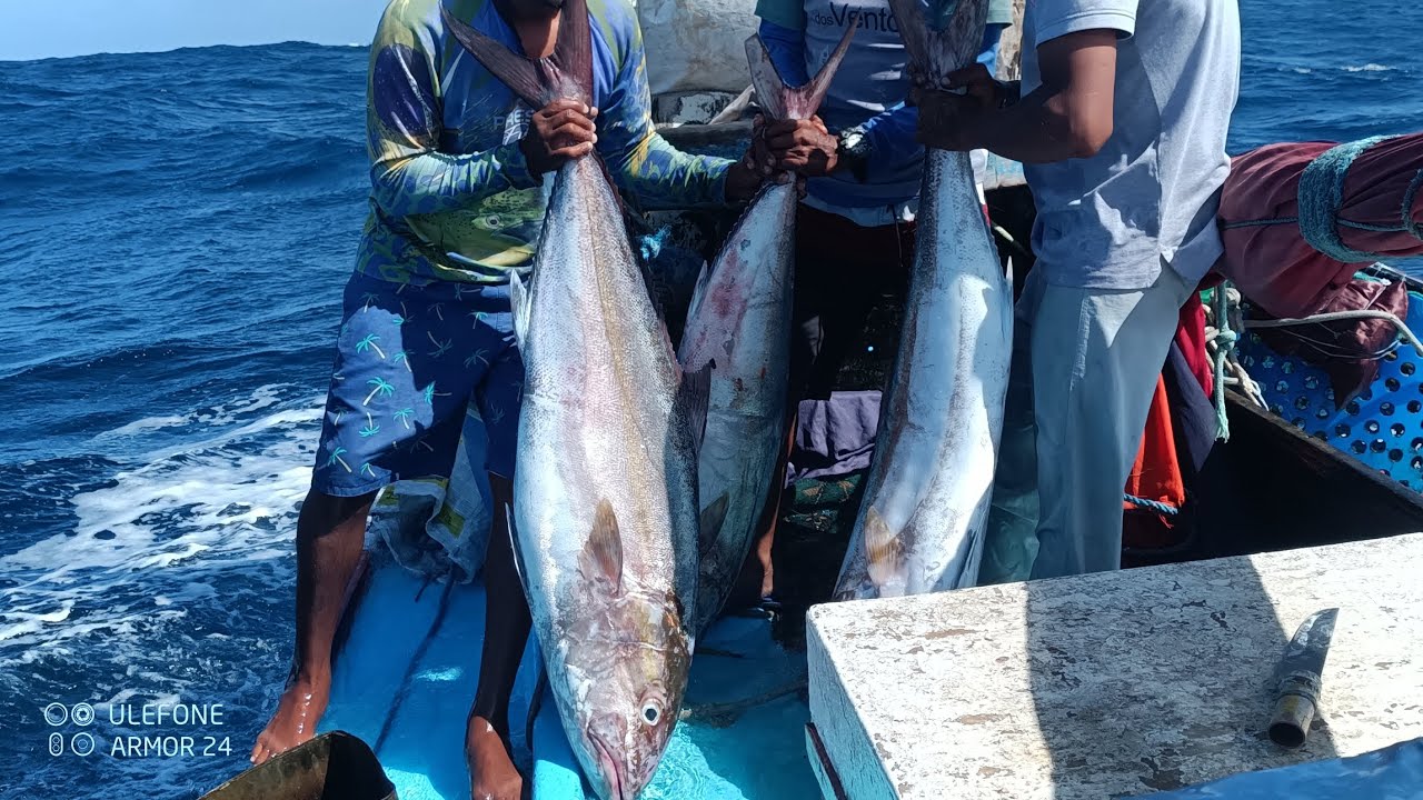 PESCARIA DE GIGANTES | @pescaabencoada 😱😱