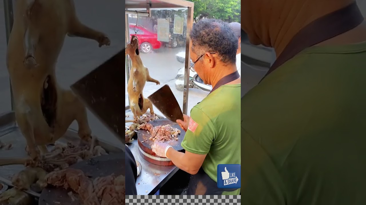 dog meat restaurant china 