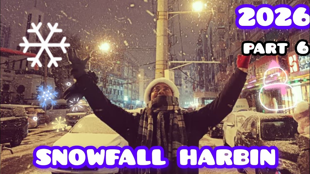 2026 Harbin Snowfall