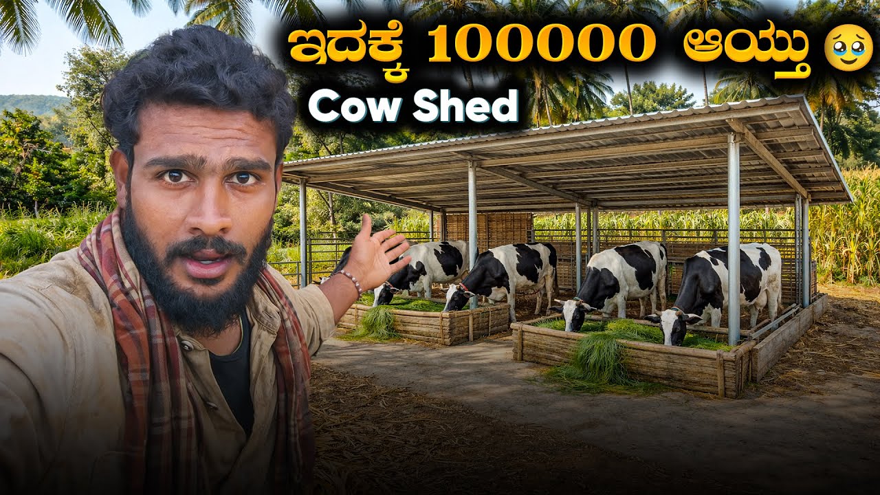 Finally Cow Shed Ready ಆಯ್ತು🥺 | Avatar Shiva Vlogs