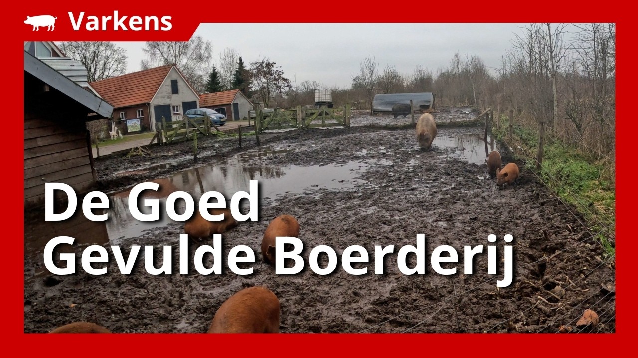 De natuurinclusieve kringloopboerderij De Goed Gevulde Boerderij