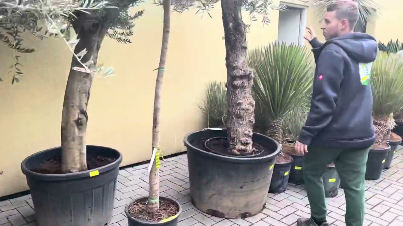 2.3.2024