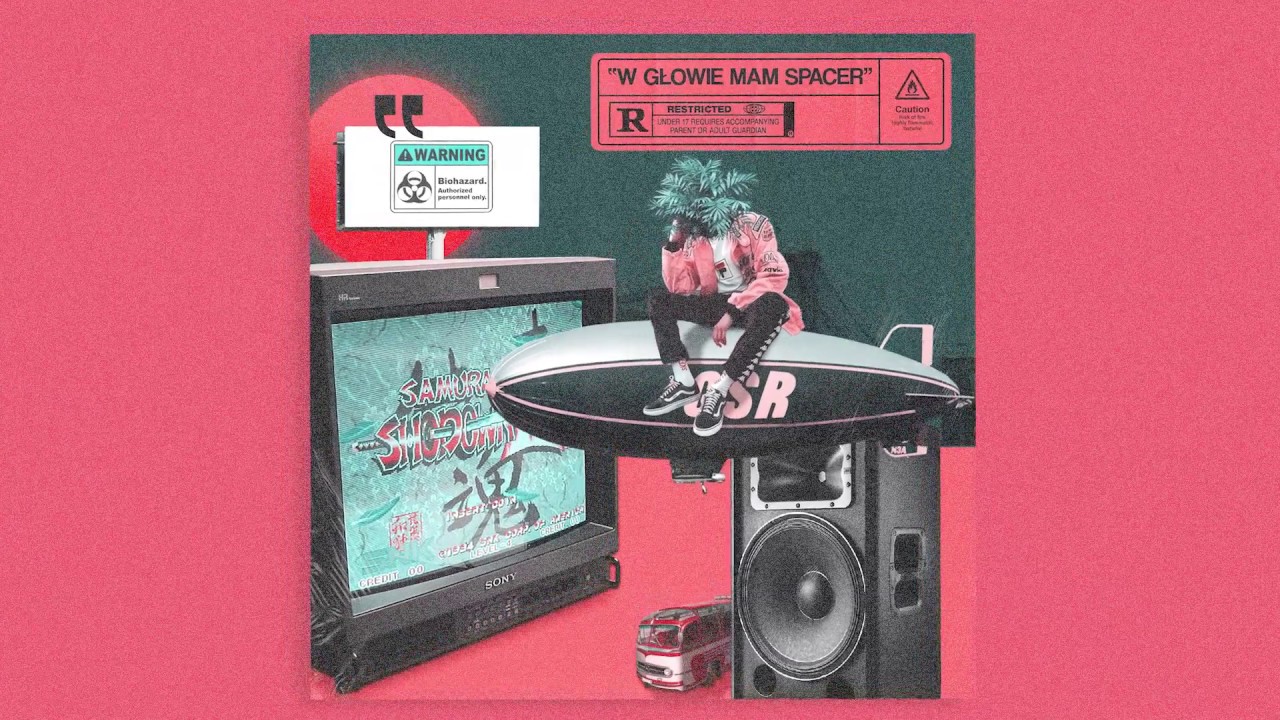 gsr -  w głowie mam spacer