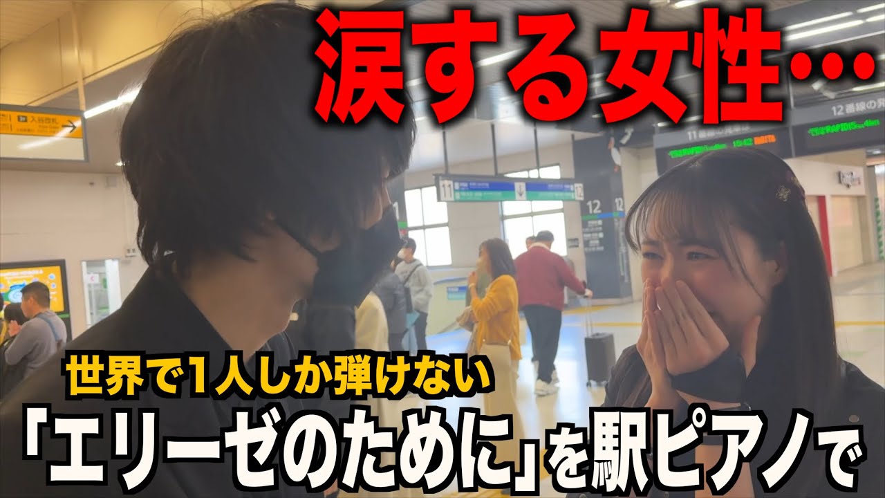 【難易度SS級】世界で1人しか弾けない「エリーゼのために」と涙する女性…【ストリートピアノ】