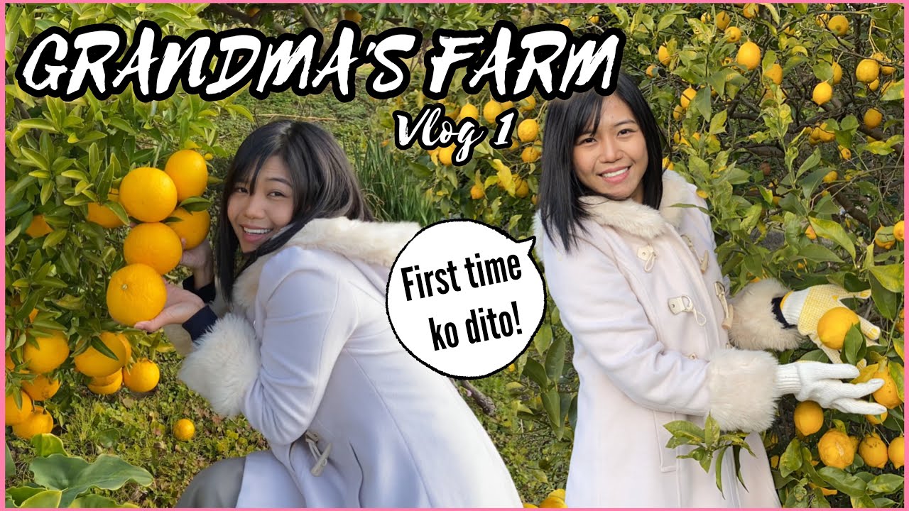 TARA sa FARM ng BIYENAN KO | shekmatz vlog 1 2020