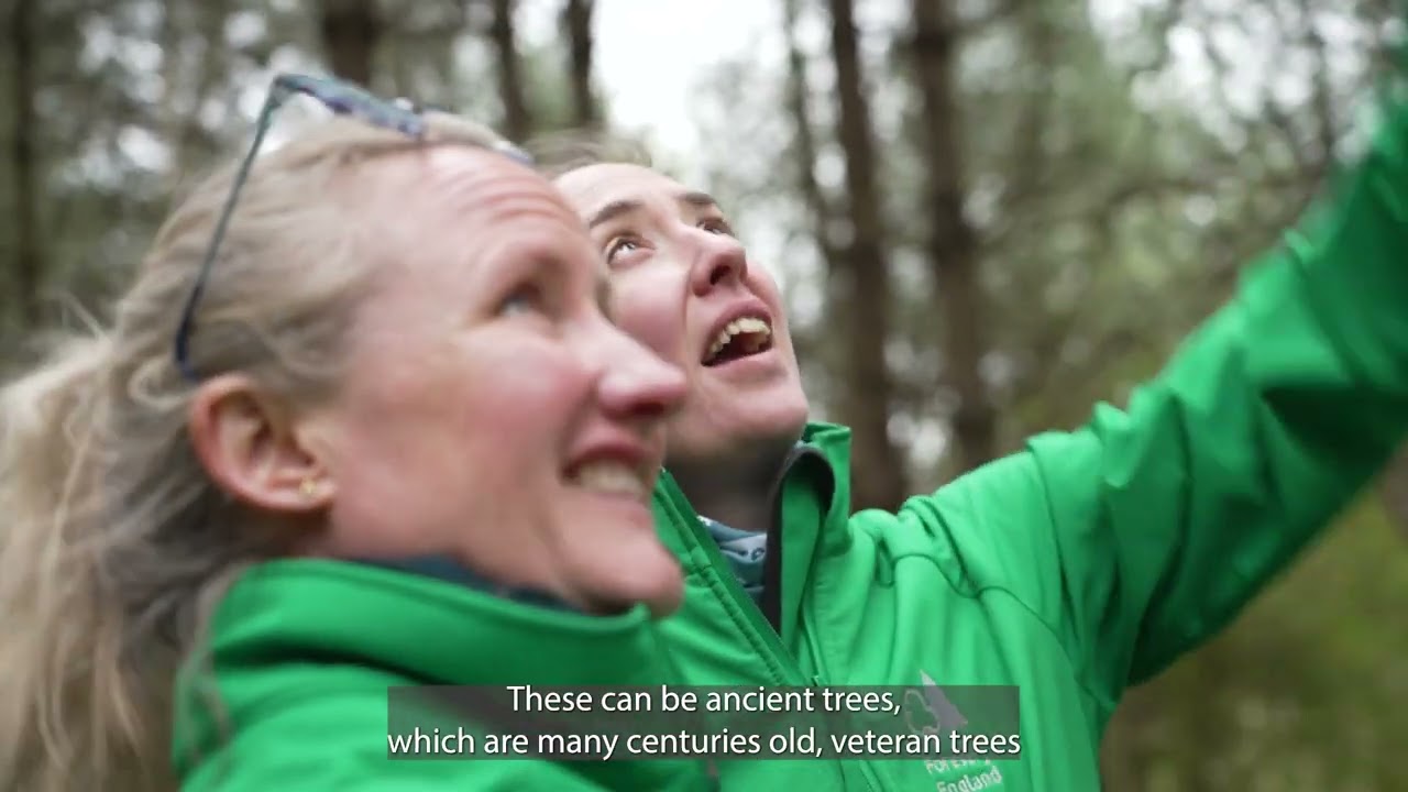 Using a New Woodland for Forest Education