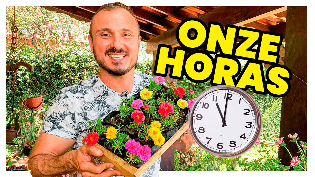 TUDO SOBRE AS ONZE HORAS