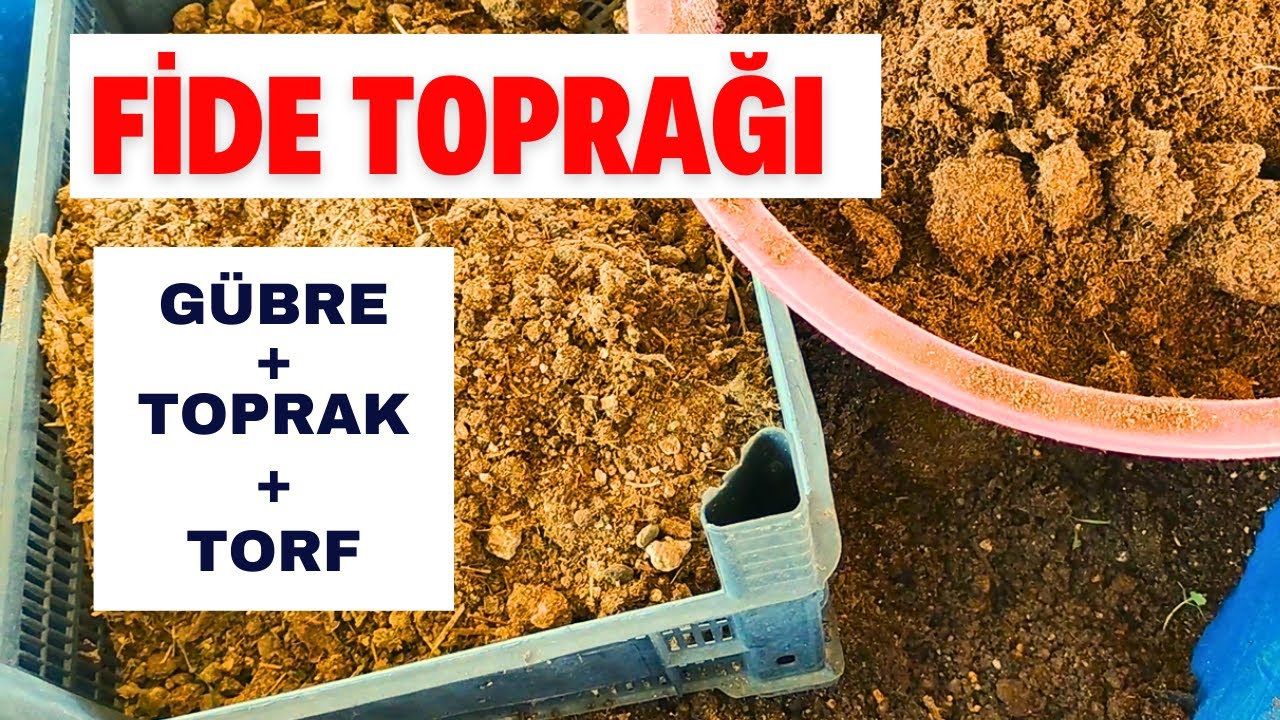 Fide toprağı nasıl hazırlanır?