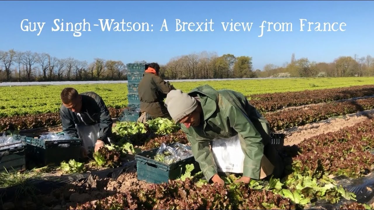 A Brexit view from France - Guy Singh-Watson